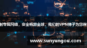 私人定制专属网络，安全畅游全球，我们的VPN梯子为您保驾护航！